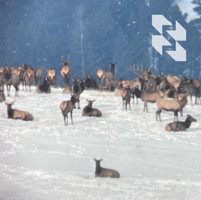 Photo from news post