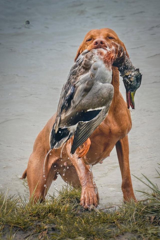 Photo from news post