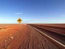Nullarbor Plain Hunting: Unique Challenges and Rewards of Open Terrain, Demographics, Legislation System, Associations and Clubs, Laws and Hunting Seasons 
The Nullarbor 