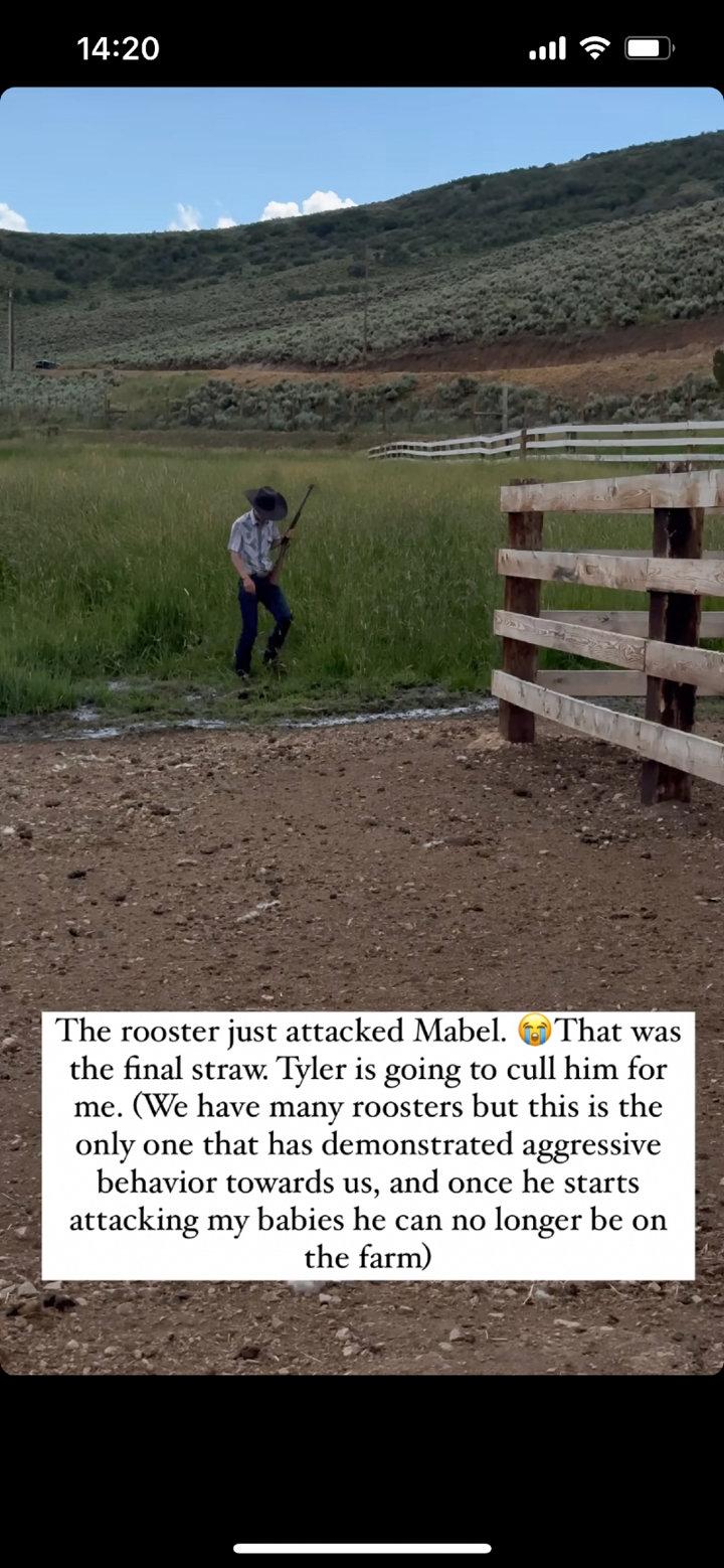 Photo from news post