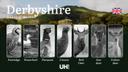 A Seasonal Breakdown of Game Species in Derbyshire: Opening Dates, Restricted Periods & Best Hunting Grounds

Derbyshire, with its rolling hills, ancient woodlands, and w