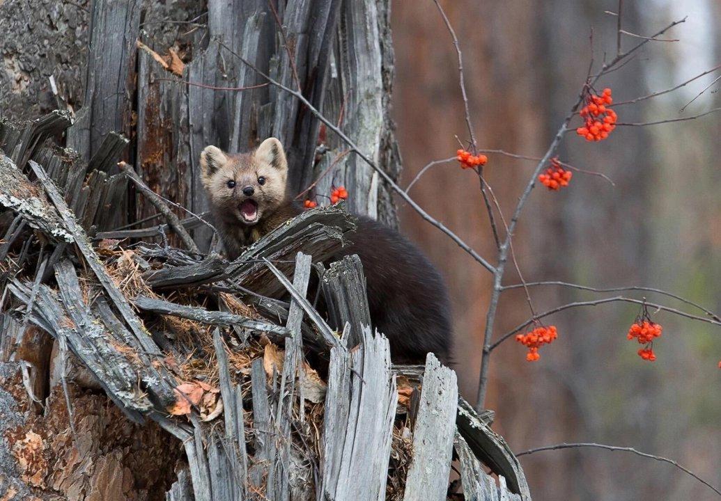 Photo from news post