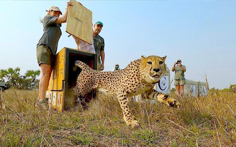 End of year review: I've chosen this as my Wildlife Photo of the Year.