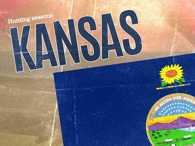 Hunting Seasons in Kansas 2025: Big Game and Small Game, Licenses, and Regulations Guide