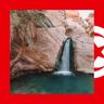 Tunisia: All About Hunting and Fishing, News, Forum avatar