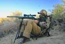 PREDATOR HUNTING—HOW TO GET STARTED THE EASY WAY

CLASSIC COYOTE SETUPS
There are three basic types of coyote hunts: 

A silent stand in which you post up and hope to shoot coyotes passing by.

A calling stand in which you hunker down and call coyotes into gun range;

What I call a “run-and-gun hunt” in which you drive rural roads and stop periodically to call, then set up when you get a response.
1. SILENT STANDS
Looking at the silent stand, your standard deer-season treestand or ground blind can work beautifully, especially if it is situated between deer feeding and bedding areas. Those are the same habitats that coyotes work, so as long as the wind is favorable—that is, blowing away from where you expect to see coyotes—then you should expect a shot.

This silent-stand hunting is not a numbers game. You are relying on a dog to simply show itself, and if you shoot, or do anything to alert animals that you’re in the area, then you might be in for a long, slow day. But you can make good use of your time by observing deer, seeing how their forage patterns have changed since November’s buck seasons, and looking for antler sheds.

You can also blow a predator call periodically to lure coyotes and foxes into range. We’ll cover calls below, but know this about coyote behavior, no matter the stand type: They will almost always circle around your calling location, trying to smell you before they come into view. So, keep a close eye on your downwind side, and try to see and kill a coyote before it sniffs you, or you’ll never see the coyotes that were in your area.
2. CALLING STANDS
This is the most common way to attract coyotes. You walk into an area with abundant sign, sit down, blow a call, and shoot a dog. Of course, it’s never that simple, but the idea is to remain undetected and sound so realistic that a curious or hungry coyote or fox will shed its inhibitions and come to you.

Wind and terrain features are the big factors here. You want to enter the area stealthily, using a ridgeline or a gully or timber to hide your approach. Stay as high in the terrain as you can, to maintain visibility over a wide area, and use both good camouflage—including face masks—and shade to melt into the cover. This is a good game for a partner, one of you running the call and the other set up to shoot.

Use either an electronic or a hand call. The advantage to an electronic call, sometimes called an “e-caller,” is that it can mimic the sound of dozens of prey species, ranging from housecats to crows, and because most have remote-control capabilities, you can set the speaker many yards away from your location, misdirecting the laser focus of an incoming coyote. Hand calls can sound more realistic, and you can control the volume and cadence better than you can with an e-caller.

The universal coyote call is a rabbit being tortured. It might be a cottontail or a jackrabbit, but the death wail is the same – a high-pitched scream punctuated by growls and squeaks. Other effective coyote calls mimic deer in pain, mice squeaking, birds squawking, and coyotes howling to either challenge or court another coyote.

Most calling hunters plan to sit at each stand for no longer than 30 minutes. They typically call softly to start, to lure in nearby coyotes, and then escalate the volume and intensity of the calls for several minutes, pausing for a half-minute between to scan for incoming coyotes that might be coming from farther away.
3. RUN-AND-GUN
This type of hunting requires abundant access to good habitat and a road system to get you around. Park in a place where your vehicle isn’t noticeable – in a dip or in cover – and blow your call. If you hear or see a coyote respond, set up to shoot. If you don’t drive on and repeat until you hit a receptive coyote.

