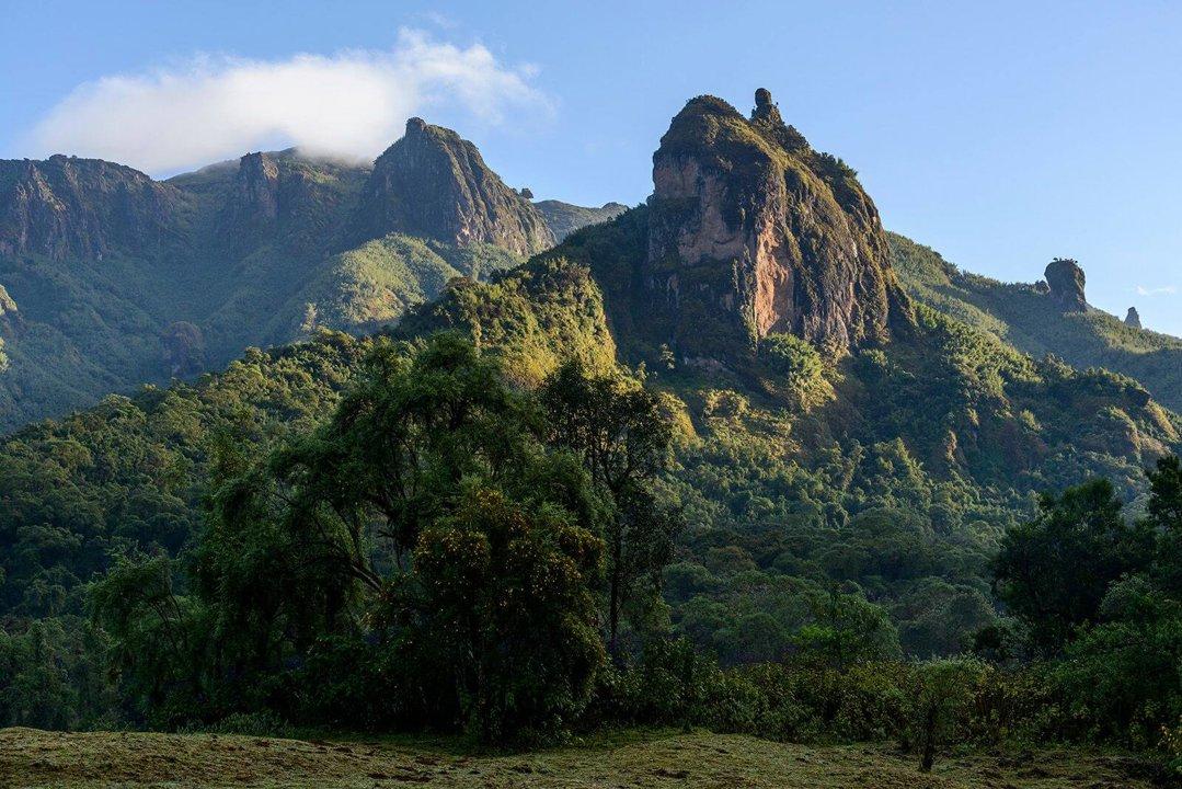 The Ultimate Guide to Addis Ababa Hunting: Explore Prime Seasons, Understand Key Legislation, and Discover Interesting Facts