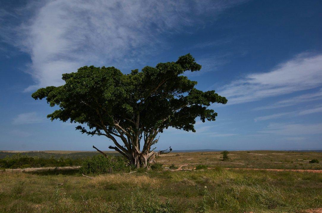 Hunting in Lunda Sul, Angola: Geography, Game Species, Hunting Styles, Season Dates and Local Associations 