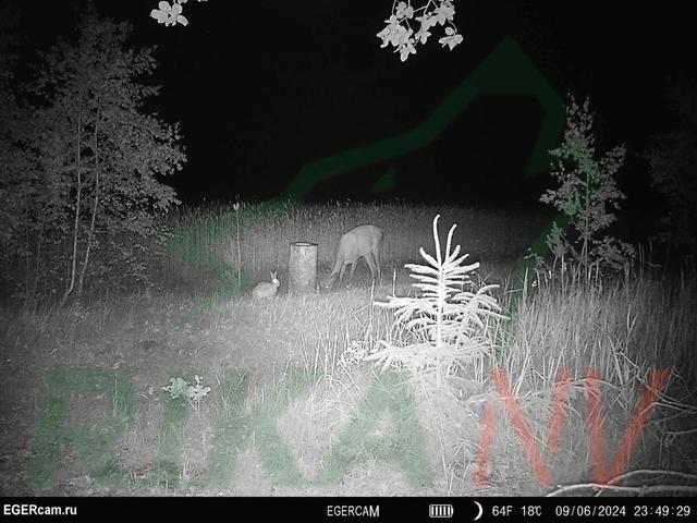 Photo from news post