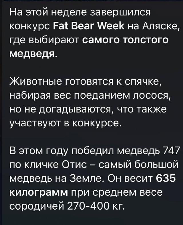 Photo from news post
