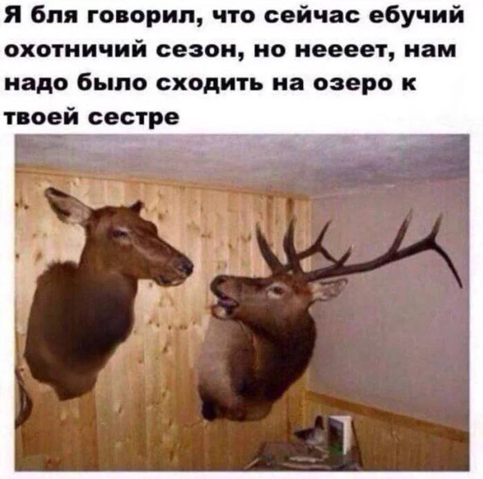 Photo from news post