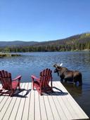 Welcome my friend…
Seeley Lake, MT

So… this was taken Memorial Day weekend 2023 at an Airbnb we were staying at, my step-grandson (is that a thing) wedding. My cousin ha