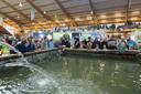 Pêche Expo 2025 Libramont-Chevigny : 8–9 November 2025 Libramont Exhibition & Congress, Belgium (Wallonia region)

The Pêche Expo 2025, organized by Libramont Exhibition & Congress, is Belgium’s flagship fishing and outdoor gear expo, scheduled for 8–9 November 2025 in Libramont‑Chevigny, Wallonia. As a major convergence of fishing enthusiasts, industry suppliers, and hunting accessory professionals, the event offers one-stop access to the latest angling equipment, boats, shelters, pontoons, and outdoor hunting tools all under one roof.

Regional Context: Fishing & Hunting in Wallonia
Libramont Exhibition & Congress is part of the larger Foire de Libramont, Europe’s biggest open-air agricultural and forestry fair. Set on a 30‑hectare site with indoor halls, it’s well-equipped to host diverse events including Pêche Expo. The venue enjoys excellent logistics, with on‑site parking, shuttle access from Libramont train station, and strong regional connectivity.

History of Pêche Expo 2025 Libramont-Chevigny and Event Background

First launched in the early 2020s as part of the expansive Libramont trade fairs, Pêche Expo caters specifically to freshwater fishing enthusiasts, featuring gear for pike, trout, and coarse fishing. It quickly grew in popularity, averaging around 10,000 visitors and 100–500 exhibitors in previous editions.

Attendance of the Belgium’s Premier Fishing & Outdoor Equipment Fair

Based on past performance, Pêche Expo attracts about 4,000 visitors and approximately 100 exhibitors, including manufacturers and resellers of rods, reels, bait, nets, boats, shelters, pontoons, fish feed, and other angling gear. The 2025 edition anticipates similar or increased turnout as the event continues its expansion.

Exhibits and Program

Fishing Equipment Zone: Rods, reels, lines, bait, tackle boxes

Boat & Pontoon Showcase: Motorboats, fishing shelters, pontoons from leading builders

Aquatic Tech Pavilion: Infrared fish finders, sonar, GPS solutions

Interactive Workshops: Casting demos, baiting techniques, fishery management tips

Retail & Wholesale Dealers: B2B opportunities alongside consumer-focused stands

This dual specialist and consumer format helps attract both anglers and hunting enthusiasts, as well as trade buyers and outdoor lifestyle businesses.

Event Details

Name: Pêche Expo 2025 (Fishing Expo)
Organizer: Libramont Exhibition & Congress (LEC), under Libramont Coopéralia 
Dates: Saturday 8 November – Sunday 9 November 2025
Location: Libramont Exhibition & Congress – Foire de Libramont, Rue des Aubépines 50, 6800 Libramont‑Chevigny, Belgium
Country: Belgium (Wallonia region)
Venue Address: Rue des Aubépines 50, 6800 Libramont‑Chevigny

Mark your calendars for 8–9 November 2025 and join 4,000+ fishing fans and 100+ exhibitors at Pêche Expo 2025, hosted by Libramont Exhibition & Congress in Libramont‑Chevigny. Whether you’re shopping for the latest fishing equipment, exploring boat or pontoon options, or connecting with industry professionals, this event delivers comprehensive access, expert learning, and networking opportunities.

Website: www.libramont‑exhibition.com
