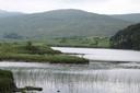 Limerick Hunting Estates: Explore the Best Hunting Estates and Game Opportunities in Limerick, Demographics, Associations and Clubs

Limerick, located in Ireland’s Munste