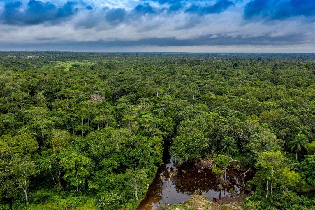 Hunting in Atlantique: A Comprehensive Guide for Hunters – Exploring Opportunities, Challenges, and Conservation Efforts (PART 2)