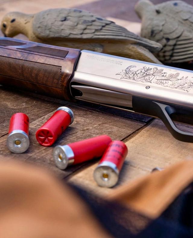 Winchester SX4 Upland Field Review: A Reliable Semi-Auto Shotgun.