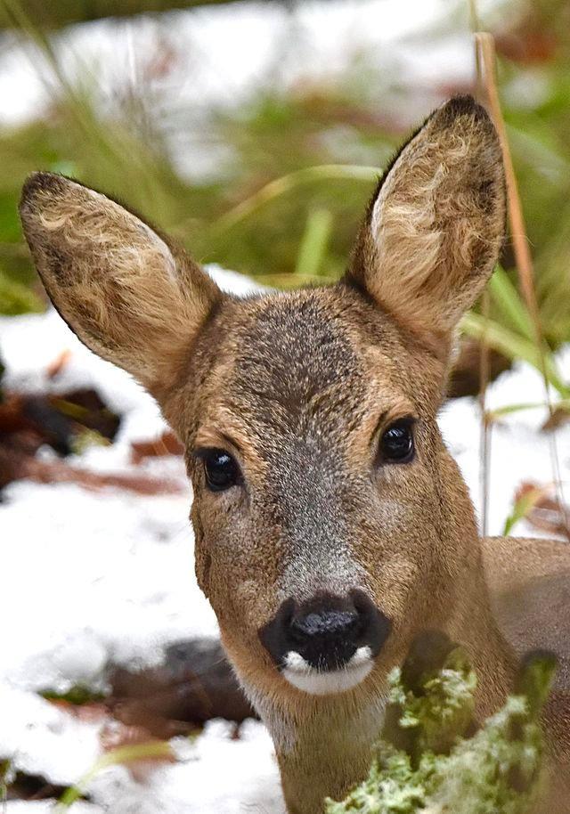 Photo from news post
