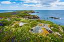 Hunting in Killarney National Park in Ireland: A Guide to Wildlife and Rules. Associations and Clubs, Laws, Hunting Seasons and Demographics

Killarney National Park, loc