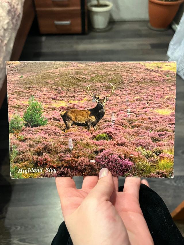 Photo from news post