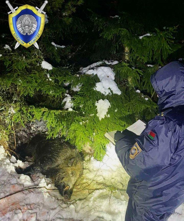 Photo from news post