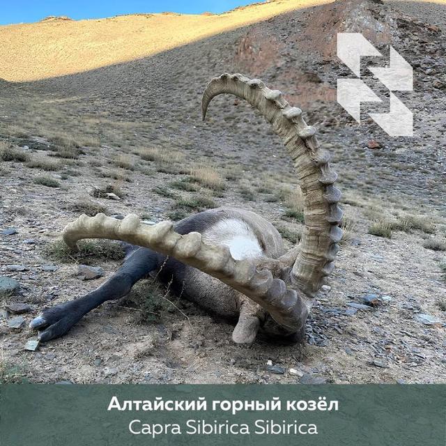 Photo from news post