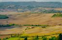 Caccia con Coscienza nel Parco del Gran Sasso: Tradizione e Conservazione tra le Cime
Caratteristiche geografiche e naturali della regione dal punto di vista venatorio
 Il Parco Nazionale del Gran Sasso e Monti della Laga, in Abruzzo, è dominato dal massiccio del Gran Sasso d’Italia (2.912 m), con paesaggi che spaziano da valli glaciali come la Valle del Fino a boschi di faggio e praterie d’alta quota. L’area ospita specie adattate all’ambiente alpino: camosci , cervi nobili , cinghiali , lepri variabili e rapaci come il biancone . I laghi di Pilato e le sorgenti del fiume Tirino completano un ecosistema unico.
Demografia dei Cacciatori: Un Focus su Numero, Età, Sesso
 In Abruzzo sono registrati ~28.000 cacciatori, con oltre 6.000 concentrati nella provincia dell’Aquila, cuore del Parco. La regione attira anche cacciatori laziali e marchigiani, soprattutto per la caccia al camoscio e al cervo.
Tipologie di Caccia e Specie Presenti
Caccia al Camoscio : Praticata in alta quota (1.800–2.500 m), richiede abilità alpina e conoscenza dei sentieri.
Caccia al Cervo : Focalizzata nelle foreste di faggio durante il bramito (settembre-ottobre).
Caccia al Cinghiale : Organizzata in braccata con segugi nelle valli boschive.
Caccia alla Lepre Variabile : Appostamenti discreti in radure e pascoli.
Stagioni Venatorie 
Camoscio : 15 settembre – 15 dicembre (max 1 capo/anno, con permesso speciale).
Cervo : 15 settembre – 31 ottobre (solo maschi adulti).
Cinghiale : 1 ottobre – 31 gennaio (divieto notturno nel Parco).
Lepre Variabile : 1 ottobre – 30 novembre (max 3 esemplari/giorno).
Associazioni e Club Locali
Federcaccia Abruzzo : Organizza battute coordinate e corsi di orientamento in montagna.
Associazione Cacciatori Gran Sasso : Promuove progetti di monitoraggio faunistico e ripopolamento.
Guide Alpine : Collaborano con cacciatori per escursioni tecniche (es. Rifugio Fonte Vetica ).
Legislazione Regionale
Licenze : Obbligo di esame venatorio, tesserino regionale e assicurazione RC.
Limiti : 1 camoscio, 2 cervi e 3 cinghiali per stagione.
Aree Protette : Caccia vietata nelle zone centrali del Parco e nelle ZPS (es. Sito "Monti della Laga").
Armi : Calibro minimo 6.5x55 mm per ungulati; divieto di richiami elettroacustici.
Tradizioni Venatorie Regionali: Riti, Usi e Cultura Locale della Caccia
 Il "Grido del Cacciatore" : Prima dell’alba, i cacciatori locali usano un richiamo vocale tradizionale, il "grido della civetta" , per mimetizzarsi con i suoni notturni e avvicinare la selvaggina. Questa pratica, tramandata oralmente, è ancora insegnata nelle scuole di caccia della zona.
La Benedizione delle Armi : Nelle chiese di montagna come quella di Santa Maria di Pietraquaria (L’Aquila), ogni settembre si celebra la benedizione dei fucili, un rito che invoca protezione e rispetto per la natura.
La "Caccia alla Bracconiera" : Un metodo tradizionale per la lepre variabile, che prevede l’uso di cani da seguita abruzzesi (razza locale) e reti di canapa tessute a mano, oggi sostituite da materiali moderni ma ancora simbolo di identità.
Il Banchetto del Bramito : Durante il periodo del bramito del cervo, i cacciatori organizzano cene comunitarie nei rifugi, dove si cucina il "brodo di camoscio" con erbe spontanee (come il nepetella) e si raccontano storie di imprese venatorie.
Il Trofeo "Corni di Luna" : Nella valle del Tirino, i corni dei cervi abbattuti vengono esposti durante la Festa della Transumanza (maggio), celebrando il legame tra pastorizia e caccia.
L’Arte del "Corno Annunciato" : I cacciatori più anziani decorano i corni degli ungulati con intagli che rappresentano la data e il luogo della caccia, creando veri e propri diari storici esposti nei musei locali.
Fatti Sorprendenti e Curiosità: Cosa Rende Unica la Caccia in Questa Regione
Il camoscio appenninico, reintrodotto negli anni ’90, è oggi simbolo del Parco.
Nel 1800, il Gran Sasso era riserva di caccia dei Borbone di Napoli, come testimoniato da documenti d’archivio.
Nel 2022, un progetto LIFE ha monitorato il lupo appenninico nella Valle del Fino, evidenziando la sua convivenza con l’attività venatoria.
Il Parco del Gran Sasso non è solo un territorio di caccia, ma un patrimonio vivo dove ogni passo del cacciatore si intreccia con la storia millenaria di queste montagne. Qui, tra i sentieri che sfidano il cielo e i boschi secolari, l’attività venatoria diventa un atto di rispetto: ogni colpo è misurato, ogni preda è onorata. I cacciatori, custodi inconsapevoli di un equilibrio fragile, contribuiscono a mantenere vivo un ciclo naturale che affonda le radici nell’epoca dei Borbone. Perché nel Gran Sasso, la vera vittoria non è il trofeo appeso alla parete, ma la consapevolezza di aver camminato tra le cime senza lasciare traccia — se non quella del proprio passaggio discreto, da ospite privilegiato di una terra che ancora oggi detta le regole.
#CacciaGranSasso #Abruzzo #CamoscioAppenninico #CervoNobile #Bramito #FedercacciaAbruzzo #TradizioniVenatorie #ParcoNazionaleGranSasso #GridoDellaCivetta #LupoAppenninico #BrodoDiCamoscio #FestaDellaTransumanza #CacciaSostenibile #MontiDellaLaga #LagoDiPilato #Italia