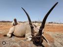 The Ultimate Guide to Hunting in Africa: An Adventure of a Lifetime
Hunting in Africa part 1 read link: https://m.uh.app/news/989626d0-99cc-11ef-936b-5f50f2372bd4

Popula