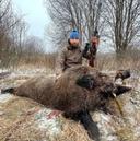 Wild Boar Hunting in Belarus: Driven Hunts and Trophy Success, Hunting Methods, Seasons, Price, Tips.

Introduction

Wild boar hunting in Belarus is a pursuit steeped in tradition, adrenaline, and precision. With vast forests, swampy lowlands, and a thriving population of wild boars, Belarus offers one of the most authentic and challenging hunting experiences in Eastern Europe. Among the various methods, driven hunts stand out for their intensity and camaraderie, often resulting in excellent trophy specimens that rival those found anywhere on the continent.

This article provides a comprehensive guide for hunters interested in wild boar hunting in Belarus, covering techniques, seasons, pricing, weapons, regulations, and real-world cases.

---

The Belarusian Wild Boar: Profile of the Quarry

The Sus scrofa, or Eurasian wild boar, is widespread across Belarus. Adult males can reach 150–200 kg, with tusks exceeding 20 cm in length. Known locally as dzik, these animals are intelligent, aggressive when wounded, and highly adaptable — making them a prized and respected target.

---

Hunting Methods: Driven Hunts and More

1. Driven Hunt (Corral Method)

• Conducted during daylight hours
• Involves beaters and dogs driving boars toward a line of shooters
• Ideal for groups of 5–15 hunters
• High success rate (up to 90% in organized estates)

2. Ambush Hunting

• From high seats or blinds near feeding areas
• Effective in winter and at night with thermal optics

3. Stalking (Approach Hunting)

• Requires stealth and terrain knowledge
• Best in snow-covered forests where tracks are visible

4. Night Hunting

• Legal with thermal scopes and night vision
• Often used for population control

---

Seasons and Legal Framework

Wild boar hunting is allowed year-round in Belarus, with seasonal nuances:

• January–March: Daytime ambush and stalking
• April–September: Night hunting permitted (18:00–09:00)
• October–December: Driven hunts and ambushes

Hunters must obtain:

• A hunting permit
• A weapon import license (for foreign hunters)
• A trophy license (for tusk-based scoring)

---

Weapons and Equipment

Recommended Firearms:

• Rifled carbines: .308 Win, .30-06, 7.62x54R
• Smoothbore shotguns: 12 or 16 gauge with slug or buckshot
• Optics: Thermal scopes, red dot sights, night vision

Other Gear:

• GPS and radios for coordination
• Protective clothing (boars can charge)
• Trophy measuring tools (CIC standards)

---

Pricing and Packages

Prices vary by region and outfitter. Typical costs:

• Trophy boar (tusks 130–139 mm): €170–€220
• Trophy boar (140–159 mm): €220–€330
• Accommodation and meals: €60–€90/day
• Guide services: €50–€70/day
• Weapon rental: €30–€50/day
• Trophy preparation: €15–€30

Some estates offer 3-day packages from €850–€1,100, including lodging, meals, permits, and guiding.

---

Real Case: A Trophy to Remember

In Belovezhskaya Pushcha, one of Europe’s oldest forests, a German hunter in 2023 bagged a wild boar with 192 mm tusks, scoring over 115 CIC points. The hunt was part of a driven event with 12 participants. The boar charged through thick underbrush and was taken with a single shot from a .30-06 rifle at 40 meters. The tusks were later mounted and displayed at the hunter’s lodge in Bavaria.

---

Tips for Success

• Scout the terrain: Know feeding zones and trails
• Use scent control: Boars have a keen sense of smell
• Practice quick shooting: Driven hunts require fast reflexes
• Work with local guides: They know the behavior and movement patterns
• Choose winter hunts: Snow improves visibility and tracking
• Respect the animal: Wounded boars are dangerous — never approach carelessly

---

Why Belarus?

• 17 million hectares of hunting grounds
• Visa-free entry for 30 days via Minsk Airport (for 80+ countries)
• No fences — truly wild conditions
• Affordable pricing compared to Western Europe
• Rich biodiversity and scenic landscapes

---

Conclusion

Wild boar hunting in Belarus is more than a sport — it’s a test of skill, patience, and respect for nature. Whether you’re drawn by the thrill of a driven hunt or the solitude of a winter stalk, Belarus offers a hunting experience that is raw, rewarding, and unforgettable.

If you’re ready to pursue a trophy that tells a story, Belarus is waiting — and the boars are watching.