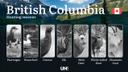 Hunting Seasons in BRITISH COLUMBIA (Canada): Mandatory Licenses, Core Regulations & Key Season Rules

British Columbia (BC) is a premier destination for hunters, offerin
