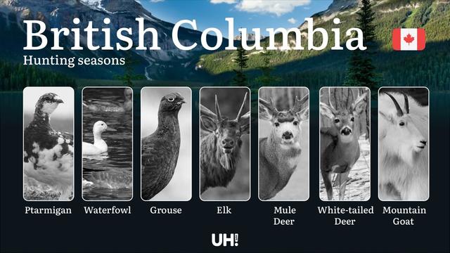 Hunting Seasons <strong>in</strong> BRITISH COLUMBIA (Canada): Mandatory Licenses, Core Regulations & Key Season Rules
