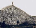 Why did the Americans try to destroy the bison population?

The near-destruction of the American bison (or buffalo) population in the 19th century was not an accidental or random event but rather a deliberate and systematic effort driven by multiple factors, many of which were tied to the U.S. government's broader policies toward Native Americans. The bison were central to the lives, cultures, and economies of many Plains Indigenous tribes, and their destruction was seen as a way to weaken Native resistance and force assimilation into Euro-American society.

Key Reasons for the Destruction of the Bison:

1. Undermining Native American Resistance:
   - The bison were essential to the survival and way of life for many Plains tribes, including the Lakota, Cheyenne, Comanche, and others. These tribes relied on bison for food, clothing, shelter, tools, and spiritual practices.
   - By destroying the bison herds, the U.S. government and settlers sought to undermine the ability of Native Americans to resist colonization and forced relocation. Without bison, tribes would be more dependent on government rations and less able to sustain themselves independently.
   - This strategy was part of a broader campaign of cultural genocide aimed at dismantling Indigenous ways of life and forcing Native peoples onto reservations.

2. Facilitating Westward Expansion:
   - The bison herds roamed vast areas of the Great Plains, which were also prime lands for agriculture, ranching, and settlement by European Americans. Clearing the land of bison made it easier for settlers, railroads, and ranchers to take over these territories.
   - The presence of large bison herds was seen as an obstacle to westward expansion, as they could damage crops, compete with livestock for grazing land, and disrupt transportation routes.

3. Economic Exploitation:
   - While the primary motive was often political and cultural, there was also an economic dimension to the slaughter. Bison hides and tongues were valuable commodities, and commercial hunters killed bison in massive numbers for profit.
   - Railroads played a significant role in facilitating this exploitation, as trains allowed hunters to transport bison products to markets efficiently. Additionally, some railroad companies encouraged the killing of bison to clear paths for trains and reduce the risk of collisions with herds.

4. Military Strategy:
   - Military leaders like General Philip Sheridan supported the extermination of bison as a tactic to weaken Native American tribes. Sheridan famously stated that the best way to defeat Native Americans was to "kill the Indian and save the man," and he saw the destruction of the bison as a key step in achieving this goal.
   - Soldiers and settlers often participated in mass hunts, sometimes shooting bison purely for sport or to deprive Native peoples of resources.

5. Cultural Superiority and Manifest Destiny:
   - Many Americans at the time believed in the ideology of Manifest Destiny, which held that it was their divine right and duty to expand across North America. This belief often came with a sense of cultural superiority, viewing Indigenous ways of life as inferior and obstacles to "progress."
   - The bison, as symbols of the Plains tribes' independence and resilience, became targets in this broader effort to impose Euro-American dominance.

The Scale of the Slaughter:
- Estimates suggest that tens of millions of bison roamed North America before European contact. By the late 1800s, their numbers had been reduced to just a few hundred. This catastrophic decline was achieved through organized hunting campaigns, often supported or encouraged by the U.S. government.
- In some cases, bison were killed en masse without even using their hides or meat, simply left to rot on the plains as a demonstration of power and control.

Legacy:
- The near-extinction of the bison had devastating consequences for Native American communities, contributing to widespread starvation, displacement, and cultural loss.
- Today, efforts are underway to restore bison populations and recognize their ecological and cultural significance. However, the legacy of their destruction remains a stark reminder of the violence and systemic oppression faced by Indigenous peoples during this period.

In summary, the destruction of the bison population was a calculated strategy to disempower Native Americans, facilitate westward expansion, and enforce Euro-American dominance over the continent. It was both a practical and symbolic act, reflecting the broader goals of colonization and cultural erasure.