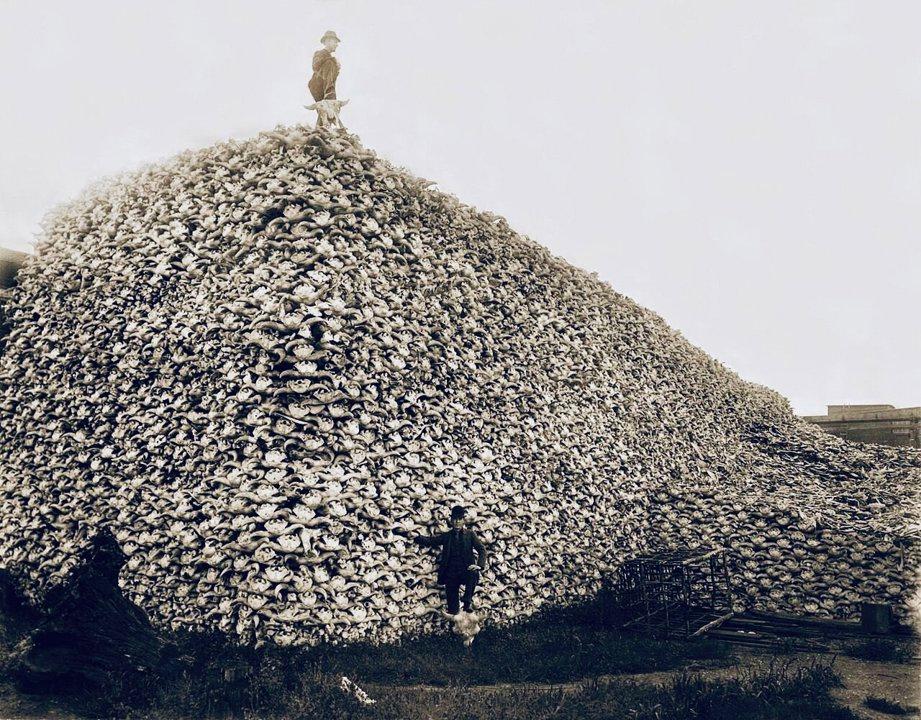 Photo from news post