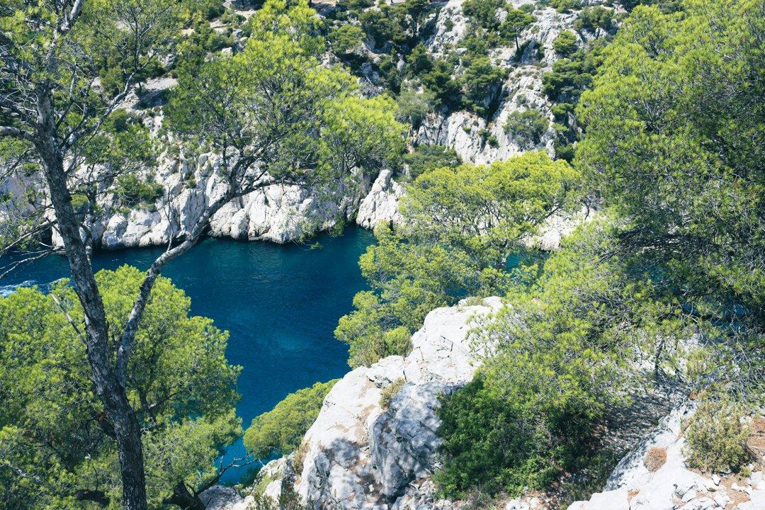 Explorer la Chasse en LANGUEDOC: Associations de chasse, réglementation locale, traditions régionales et faune variée