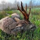 🦌 Successful Roe Deer Hunt Today: A Day to Remember

This morning’s hunt was a textbook example of patience and preparation paying off. After tracking signs near the forest edge, I spotted a mature roe buck moving cautiously through the mist-covered brush. One clean shot — ethical, quick, and respectful. The gear, the wind, and timing all aligned perfectly.

There’s something special about roe deer hunting: the quiet strategy, the light step, and the reward of reading nature correctly.

If you’re new to stalking or planning your first roe deer hunt this season, now’s a great time — movement is high, and conditions are favorable.

#RoeDeerHunting #SuccessfulHunt #HuntingStory #FieldNotes #StalkingGame #DeerHunterLife #EthicalHunting #EuropeanHunting #BigGameSeason #HuntingExperience