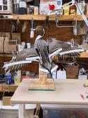 Pintail Drake today. Neat lacing on this bird.