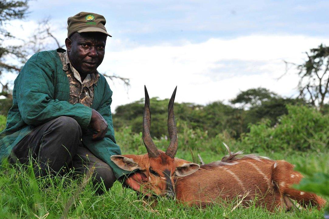 Kalangala: Hunting Activity Periods, Protected Species and Seasonal Restrictions, Obtaining a License, Penalties That Affect Your Hunt, Expert Advice, Timing, Equipment