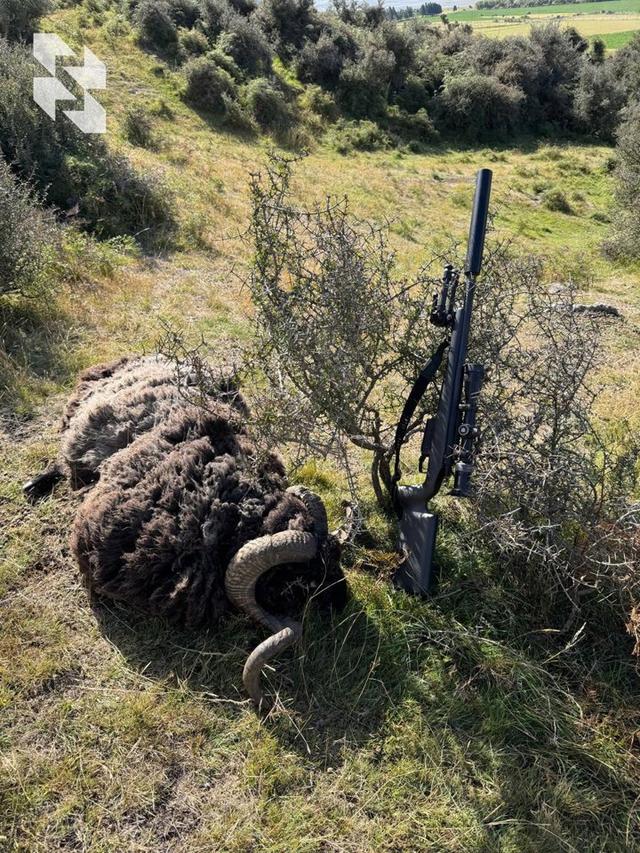 Photo from news post