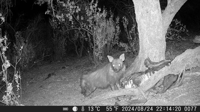 Photo from news post