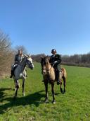 Chasse à courre au Chevagne #chasse