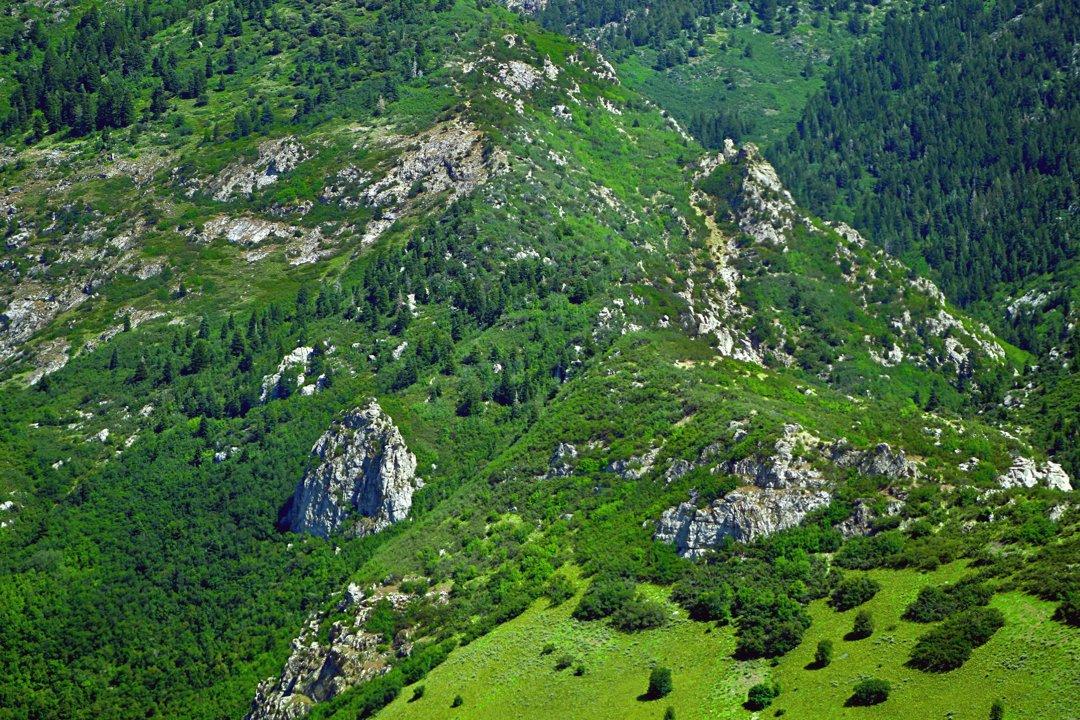 Jagd in Mauren, Liechtenstein: Natur, Geografische Besonderheiten, Wildbestände, Traditionen und Gesetze 