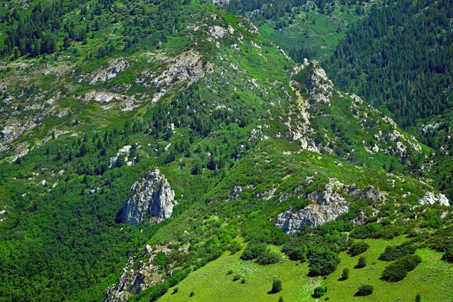 Jagd in Mauren, Liechtenstein: Natur, Geografische Besonderheiten, Wildbestände, Traditionen und Gesetze 