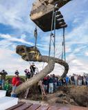 University of michigan recover a wolly mammoth skull in a farmers field in Lima township, Michigan 😳

#deer #whitetailbuck #whitetail #deerhunting #turkeyhunting #elk #moose #bowhunting #bowseason #camouflage #hunter #bigbucks #deer #ducks #waterfowlhunting #wildlife #nature
#hunting
#huntingseason
#huntinglife
#huntingdog
#huntingtonbeach
#househunting
#duckhunting
#deerhunting
#bowhunting
#turkeyhunting
#SQUIRRELHUNTING
#hoytbowhunting
#MOUNTAINHUNTING