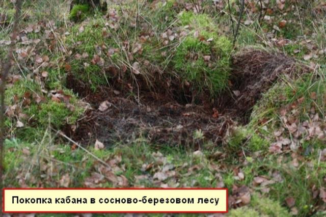 Photo from news post