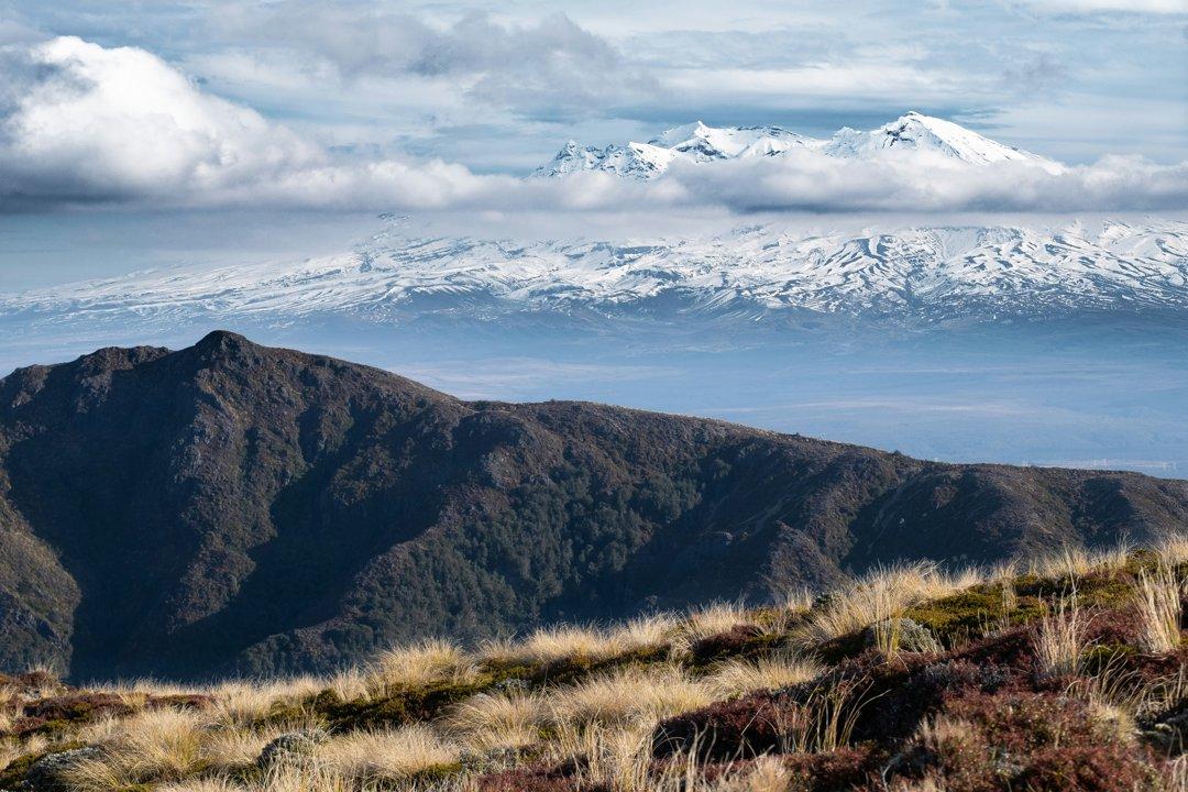 Caza en la región de El Valle del Maule: tradiciones de caza, características y oportunidades únicas para cazadores, clubes y asociaciones