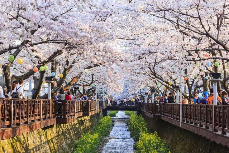 대전광역시의 사냥: 지역의 자연적 특성과 사냥 문화 