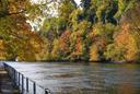 Chasse dans le RHÔNE: Paysages remarquables, particularités cynégétiques, traditions authentiques et clubs de passionnés

Le département du Rhône, situé en région Auvergn
