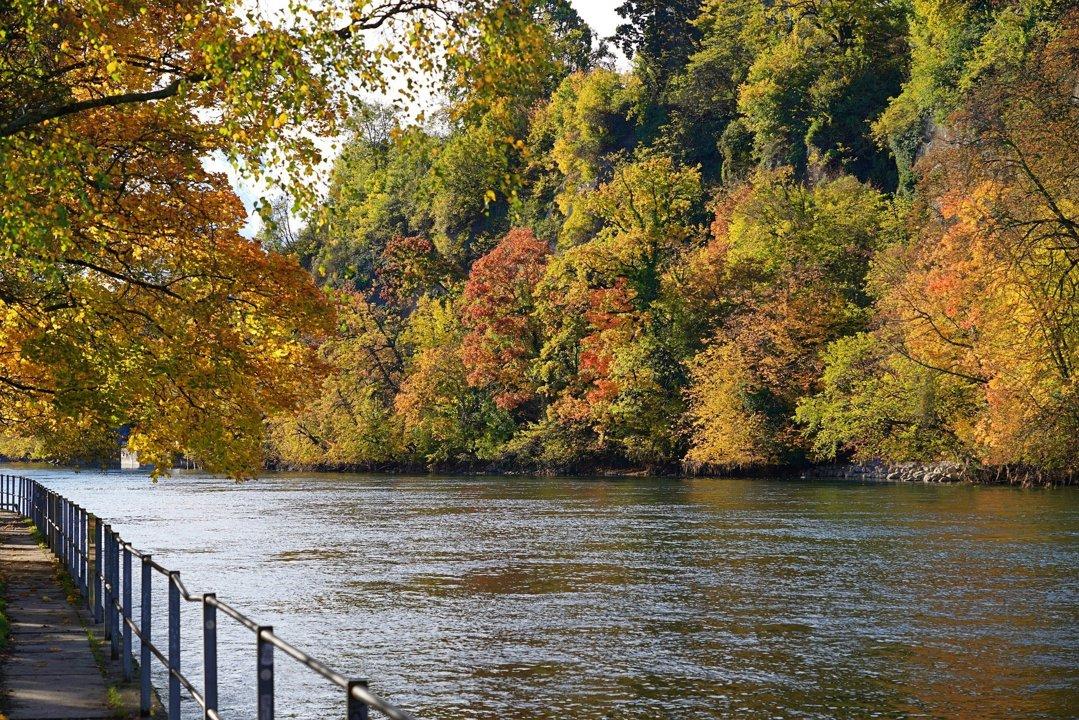 Chasse dans le RHÔNE: Paysages remarquables, particularités cynégétiques, traditions authentiques et clubs de passionnés