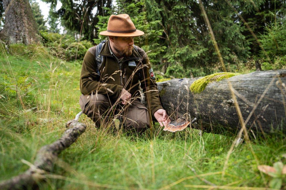 Jagd in SACHSEN: Geographische und natürliche Besonderheiten, Jäger und Demografie, Jagdarten, Jagdrecht und Jagdtraditionen
