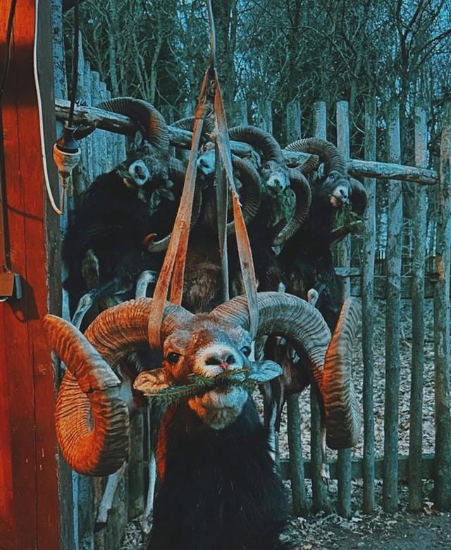 Photo from news post