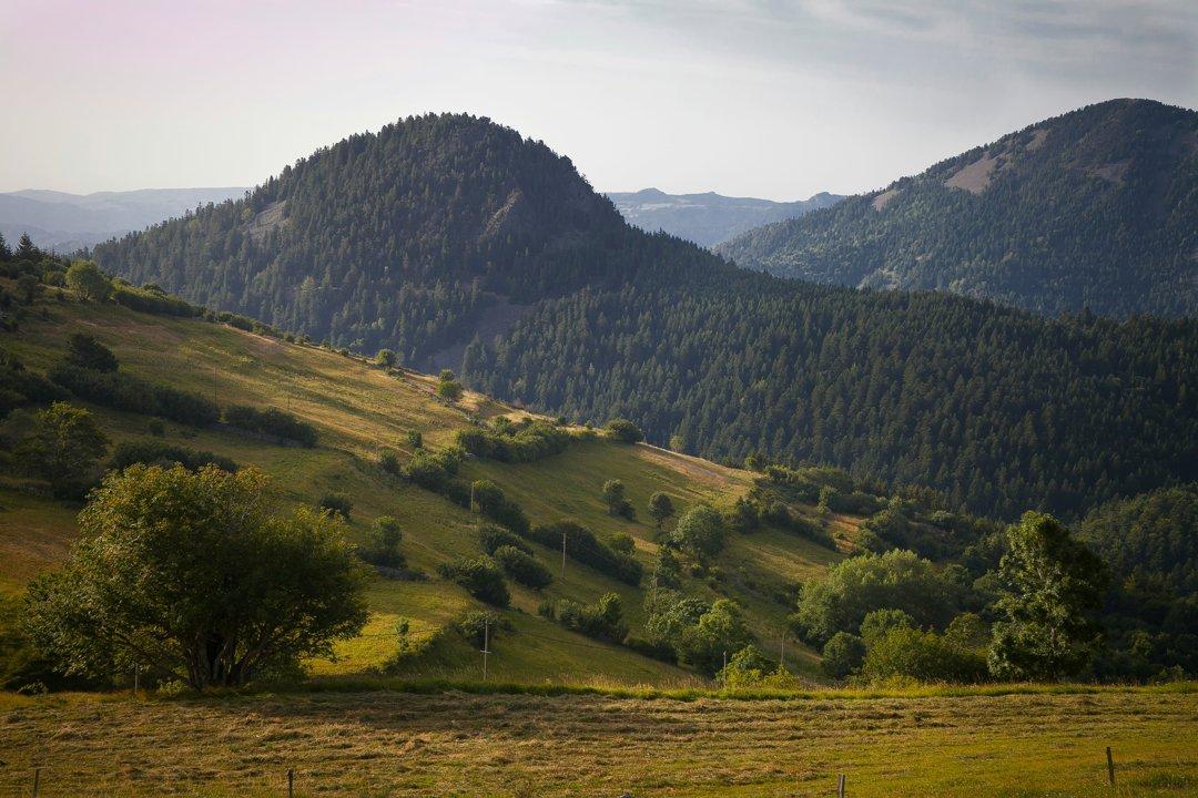 La Chasse en HAUTE-LOIRE: Caractéristiques géographiques, types de chasse pratiqués, faune locale et gestion cynégétique